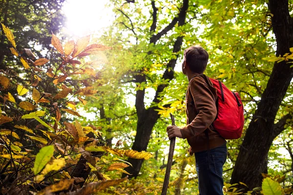 Pojken går ensam i skogen — Stockfoto