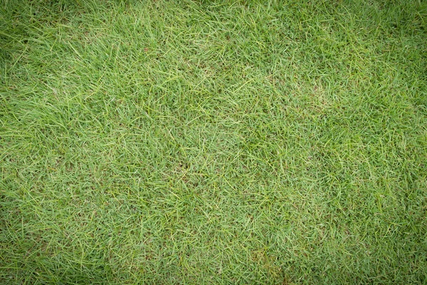 Πράσινο γρασίδι ομαλή υφή. Άνευ ραφής στην μόνο οριζόντια ΔΙΑΣΤ — Φωτογραφία Αρχείου