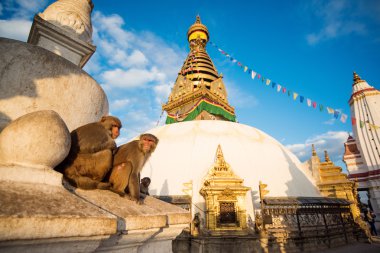 Görünüm Swayambhunath Katmandu, Nepal 