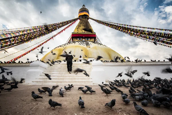 Bodhnath stupa with flying birds and people hope at Nepal — Stock Photo, Image