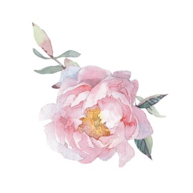 Şakayık ve bitki buketleriyle suluboya klip sanatı.