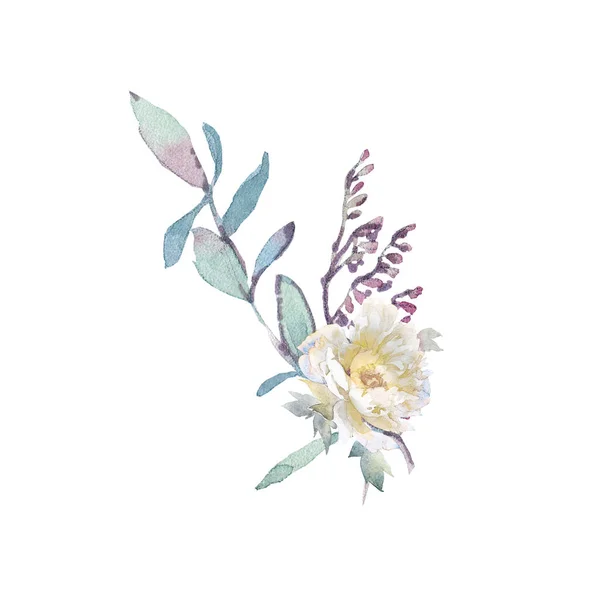 Watercolor clip art with bouquets of peonies and herbs. — Stock Photo, Image