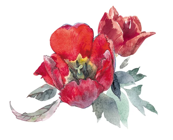 Ακουαρέλα floral clipart Μπουκέτο με κόκκινα λουλούδια και πράσινα φύλλα — Φωτογραφία Αρχείου