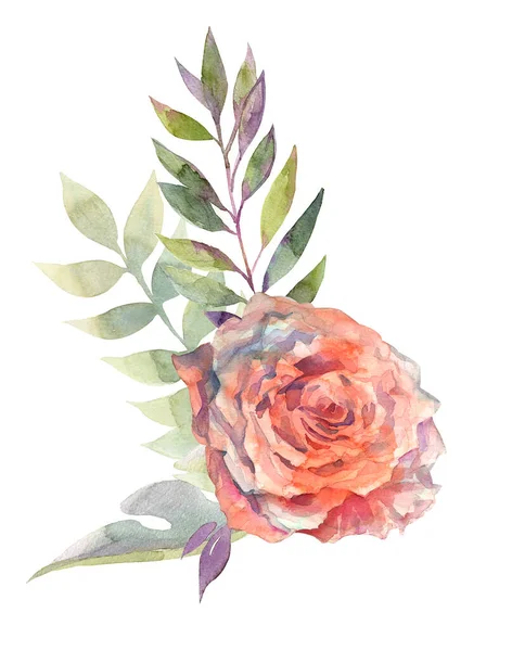 Flor rosa rosa, folhas verdes. Clipart floral aquarela. Conceito de casamento com flores — Fotografia de Stock