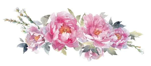 Flor peônias rosa, folhas verdes. Clipart floral aquarela em fundo branco — Fotografia de Stock
