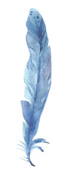 Renkli kuş tüyü. El yapımı illüstrasyon. Suluboya doğa zirvesi.