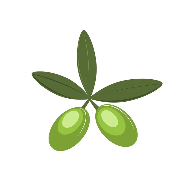 Olijfolie van Olive vector pictogram, symbool, teken, tak — Stockvector