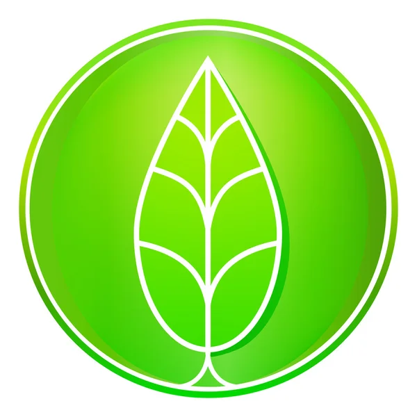 Distintivo foglia verde — Vettoriale Stock