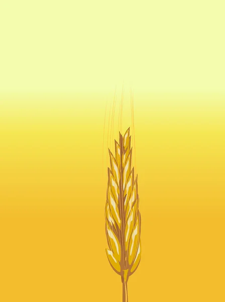 Wheat on yellow — Stock Vector