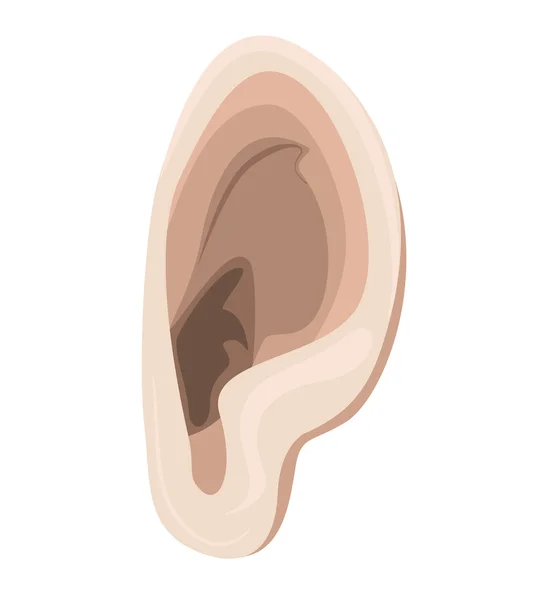 Ear illustration — Stock Vector