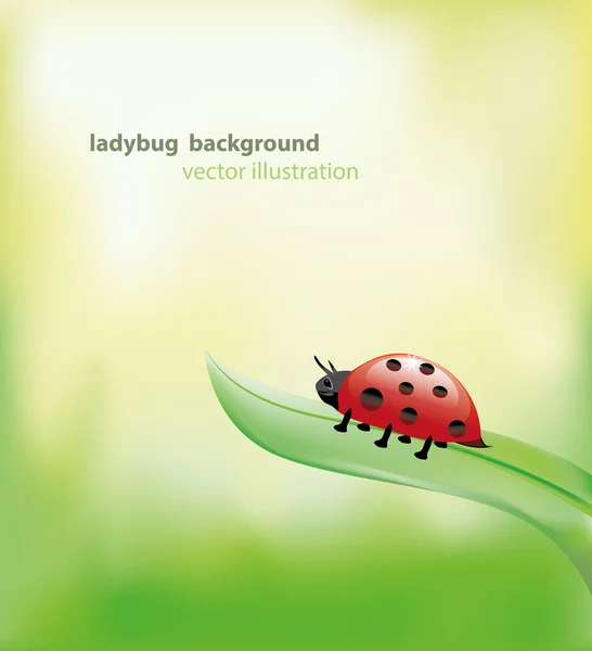 Ladybug pe o frunză — Vector de stoc
