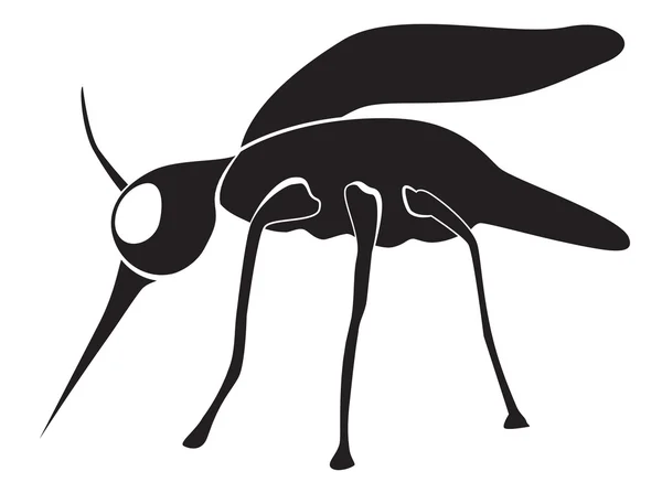 Mosquito illustration — Stock Vector