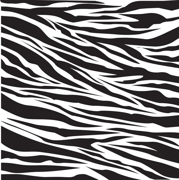 Zebra stripes pattern background — Stock Vector