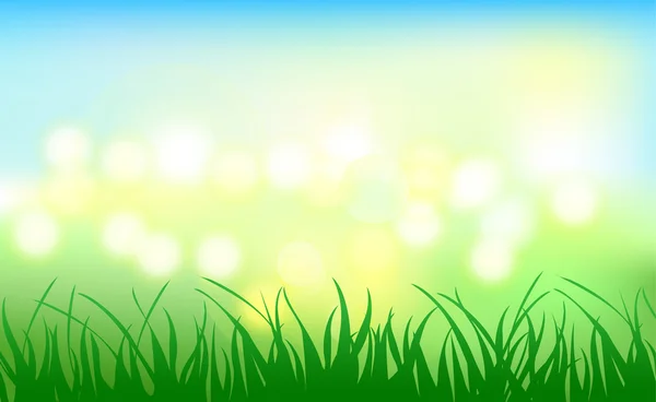 Lights grass background design leayout — Zdjęcie stockowe