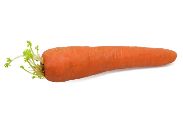 Carota Imagen De Stock