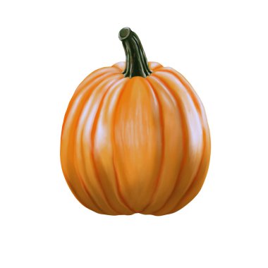 Beyaz arka planda izole edilmiş kabak meyvesi. Dijital el çizimi gıda çizimi.