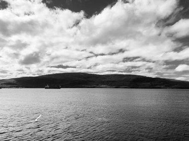 Körfezin siyah-beyaz manzarası bir tepe, bulutlar, açık bir gökyüzü, yüzen bir gemi ve uçan bir martı.