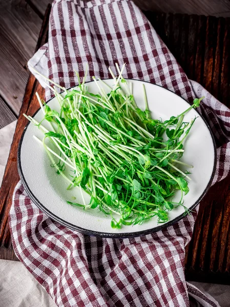 Fresh greens on white plate. — Stock Photo, Image