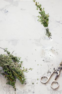 Beyaz taş zemin üzerine kekik.  