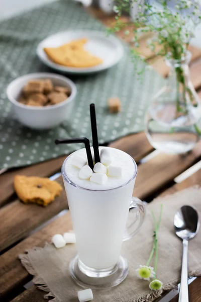 ミルクセーキとクッキーのグラス . — ストック写真