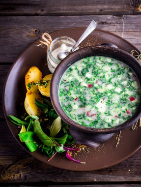 Sebzeli geleneksel Rus soğuk çorbası - okroshka .