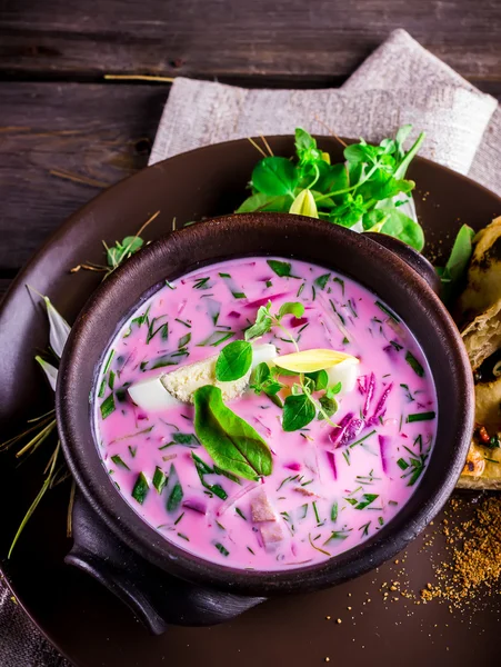Russian cold soup with beetroot. — Stock Photo, Image