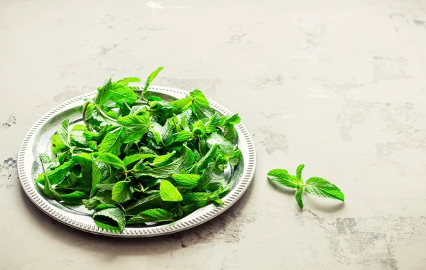 Silver tray with mint leaves. — Stock Photo, Image