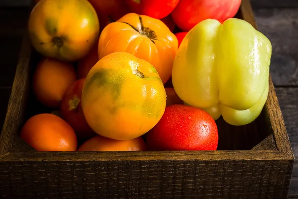 Rode en gele tomaten in houten kist. — Stockfoto