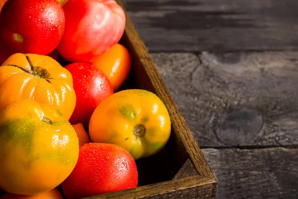 Rode en gele tomaten in houten kist. — Stockfoto