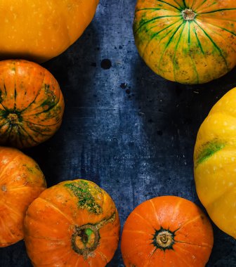  Mavi arka plan üzerinde kabaklar. 