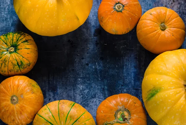  Mavi arka plan üzerinde kabaklar. 