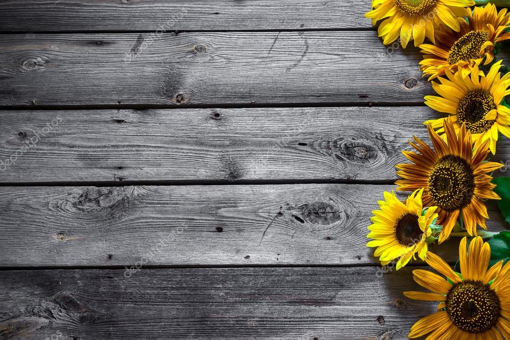 Bộ sưu tập 150+ Sunflower and wood background cho mùa hè năng động