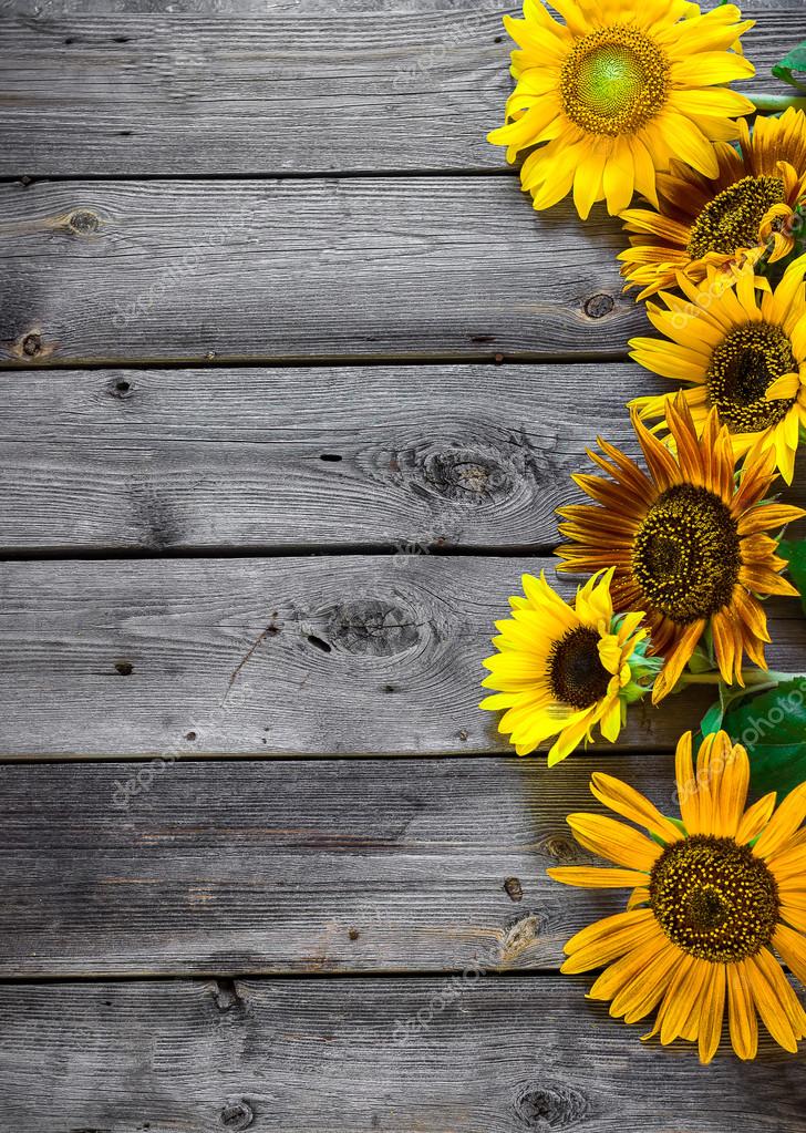 Old wooden background with sunflowers. Stock Photo by ©vla-u 119000756