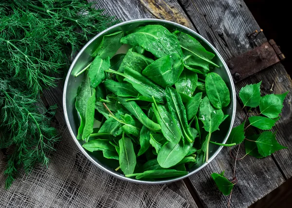 Garden sorrel in a bowl on wooden table. — Stock Photo, Image