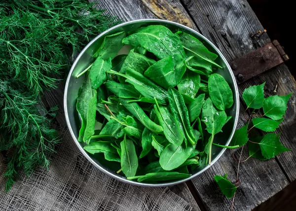 Sorrel de jardim em uma tigela na mesa de madeira . — Fotografia de Stock