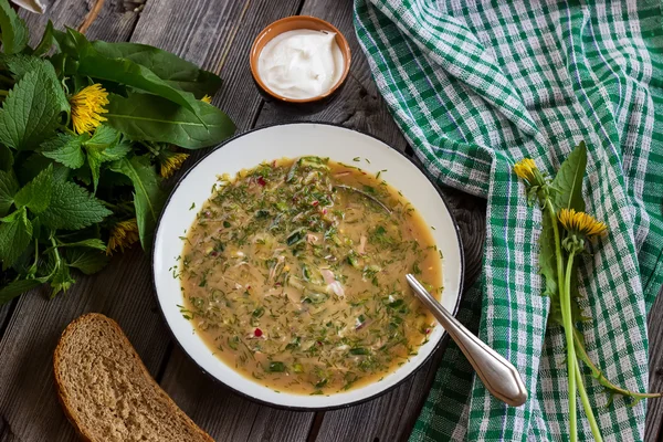 Sopa fría rusa "okroshka " — Foto de Stock