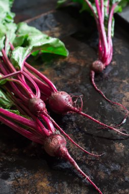 Karanlık metal zemin üzerine genç pancar. 