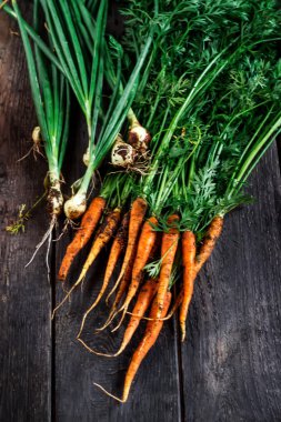 Koyu ahşap zemin üzerine havuç ve yeşil soğan. 
