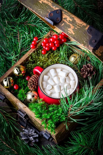 Tazza di cioccolata calda con marshmallow e ramo di pino in scatola di legno . — Foto Stock