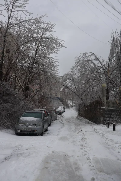 Vladivostok november 21 Electricity cables covered in ice after frozen rain phenomenon — Stock Photo, Image