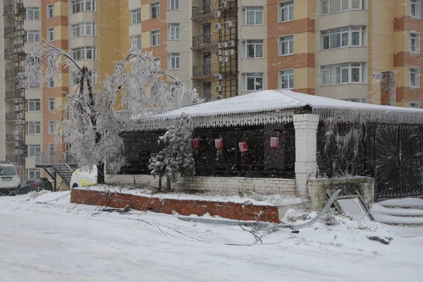 Vladivostok 21 november Elektriciteitskabels bedekt met ijs na bevroren regen fenomeen — Stockfoto