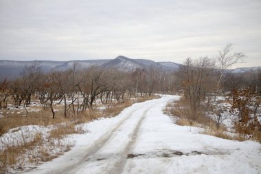 Karla kaplı bir tarlada ağaçlarla kaplı bir patika.
