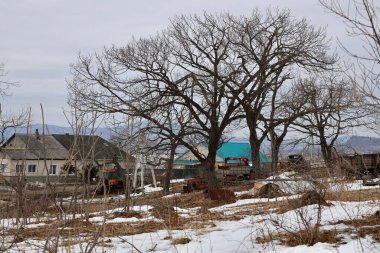 karla kaplı bir tarla