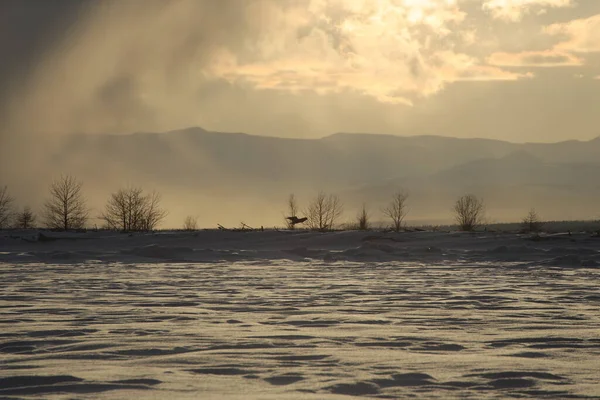 Winter fishing northern route east russia — Stock Photo, Image