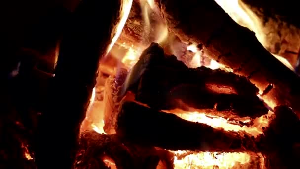 Hot fireplace full of wood and fire — Stock Video