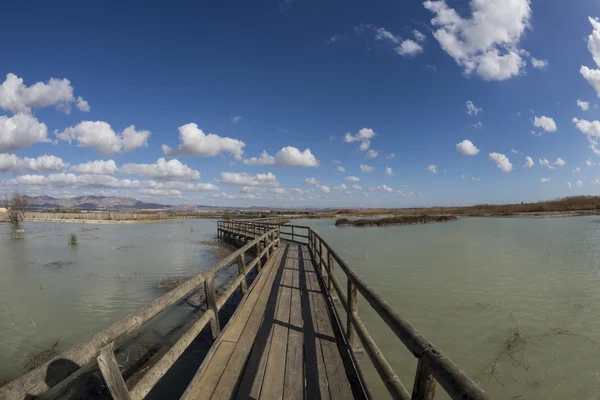 Parco Naturale El Hondo — Foto Stock