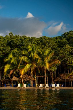 Güneş doğarken deniz yıldızı plajı, Bocas del Toro Adası, Panama, Orta Amerika