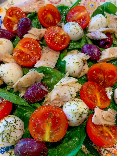 Frisse Kleurrijke Salade Met Tonijn Spinazie Mozzarella Kaas Vitaminen Mineralen — Stockfoto