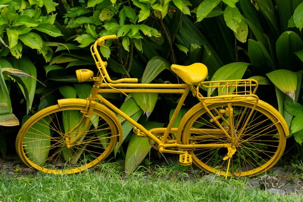 정원의 옐로우 빈티지 자전거 — 스톡 사진