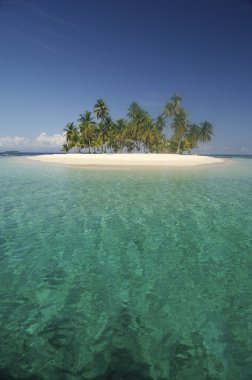 tropikal ada